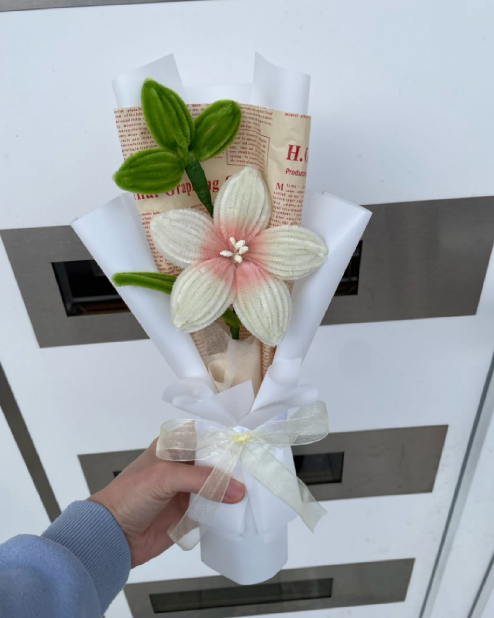 Mini Bloom Collection