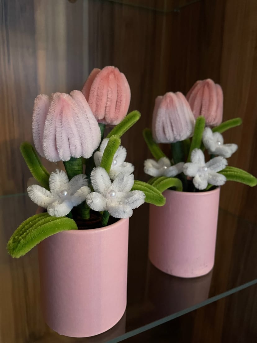 Mini Bloom Collection